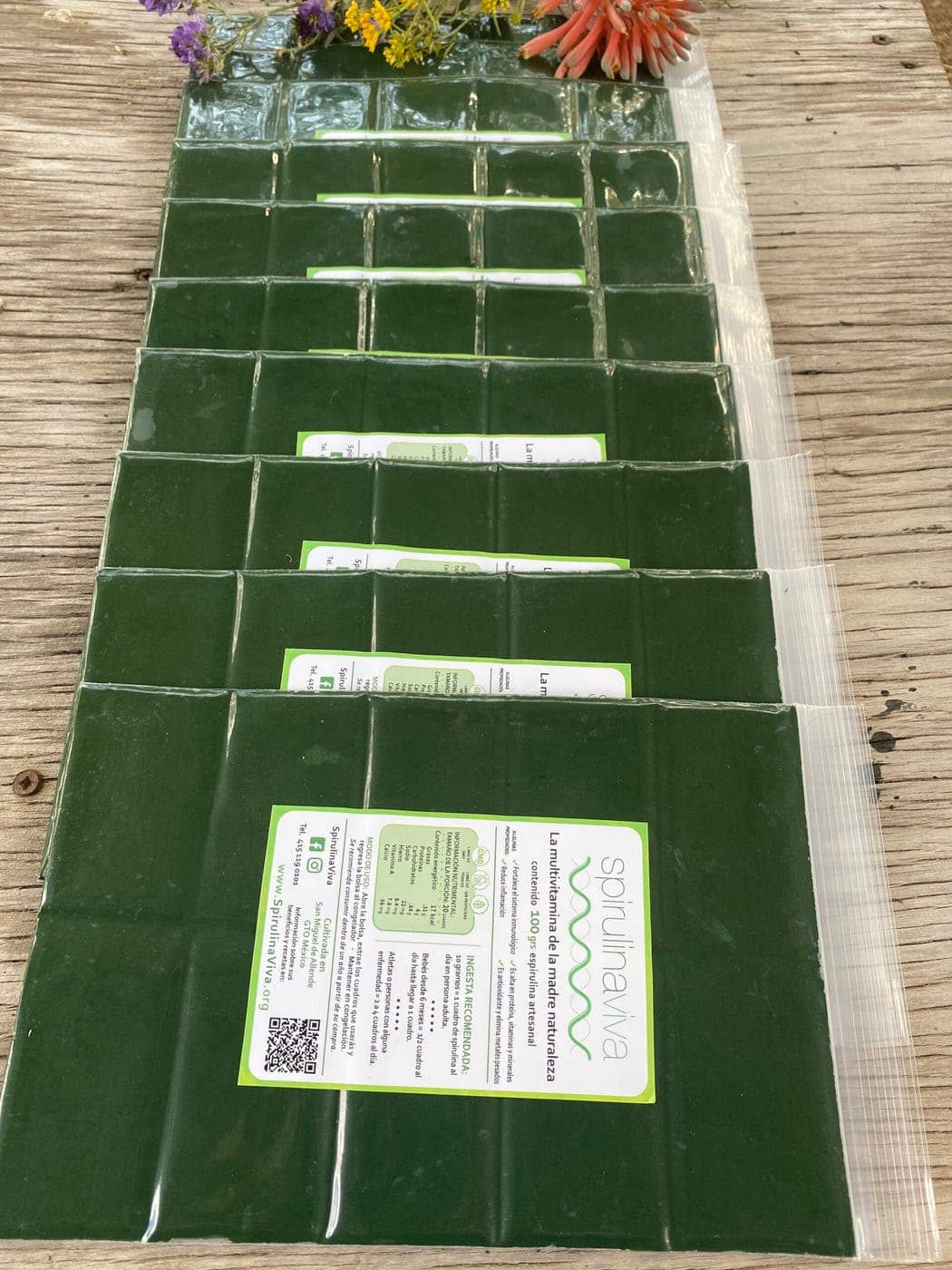 SpirulinaViva · 100 cuadros (1 kg)